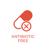Home Antibiotic Free