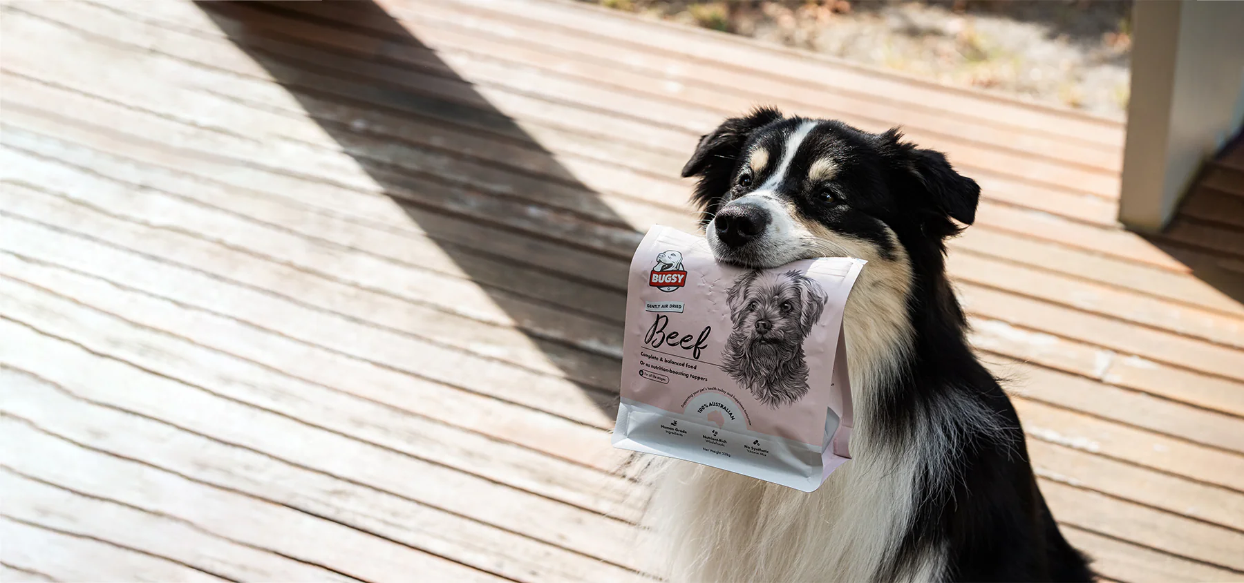 about-us dogholdingbugsys