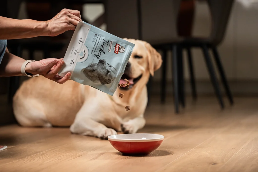 dog loves bugsy's